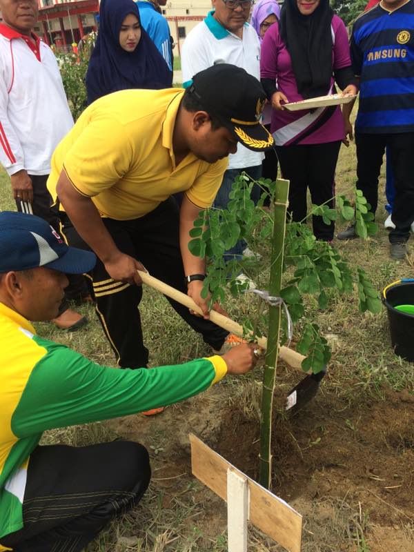 Gerakkan Aksi Penanaman Pohon